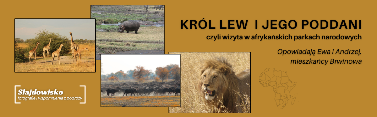 więcej...